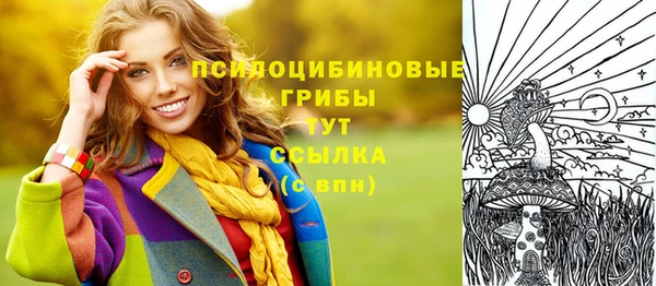 не бодяженный Снежногорск
