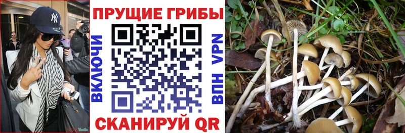 мега ссылки  Липецк  Галлюциногенные грибы Magic Shrooms 